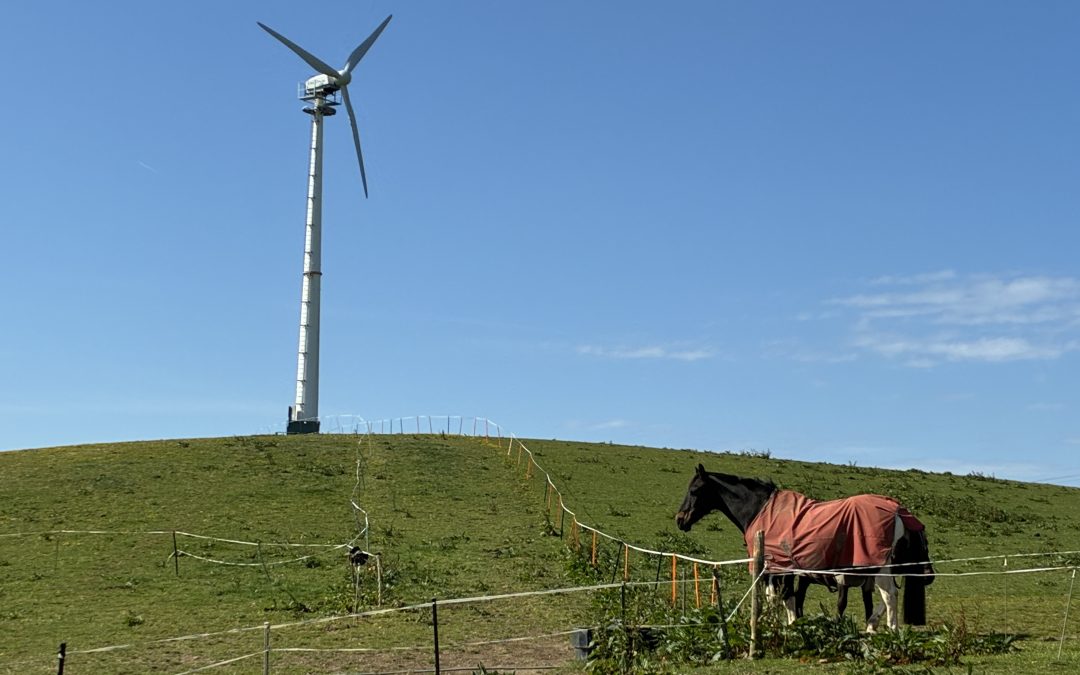 A Successful Wind Turbine Repowering Open Day at Little Callestock Farm, Cornwall